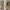 Rideau Occultant Beige Doré